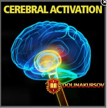 aktivacija-cerebralnogo-korteksa-idoser-2017.24483.jpg