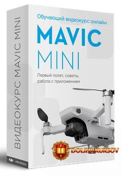 djimsk-videokurs-dji-mavic-mini-onlajn-pervyj-polet-sovety-rabota-s-prilozheniem.56353.jpg
