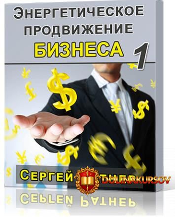 ehnergeticheskoe-prodvizhenie-biznesa-1-ratner-2015.23734.jpg