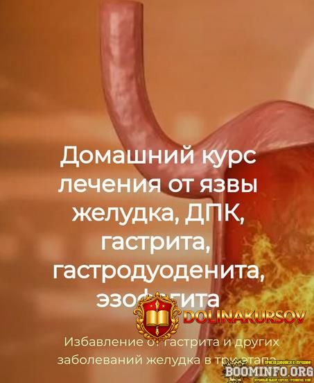 igor-kaufman-domashnij-kurs-lechenija-ot-jazvy-zheludka-dpk-gastrita-2024.82043.jpg