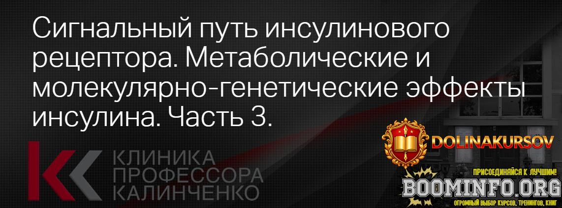 klinika-kalinchenko-signalnyj-put-insulinovogo-receptora-chast-3-2021.76478.jpg