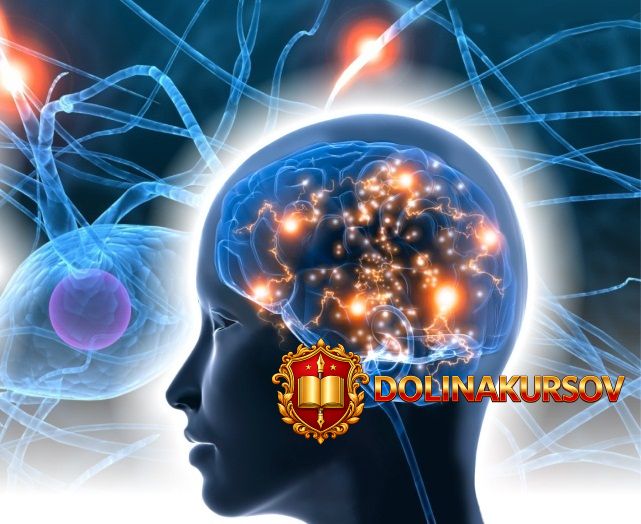 nejrobiologija-dlja-lichnogo-razvitija-udemy-2016.14520.jpg