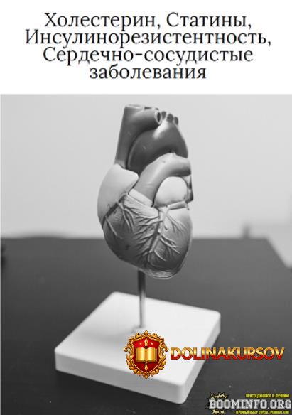 o-vidmanova-xolesterin-statiny-insulinorezistentnost-serdechno-sosudistye-zabolevanija-2025.91...jpg