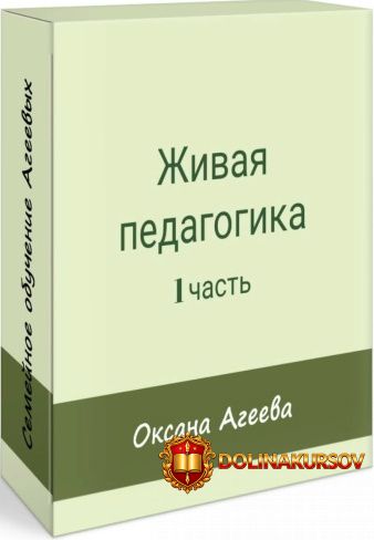 semejnoe-obuchenie-ageevyx-zhivaja-pedagogik-1-chast-oksana-ageeva.467790.jpg