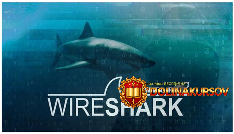 udemy-wireshark-paketnyj-analiz-i-ehticheskij-vzlom-osnovnye-navyki-2019.43048.jpg