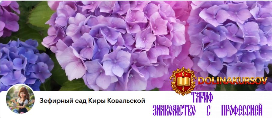 zefirnyj-sad-donatnaja-podpiska-na-mesjac-tarif-znakomstvo-s-professiej-kira-kovalskaja.466182.jpg