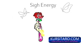 3zuf1xp.png