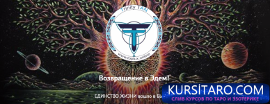 ed359733e422.png